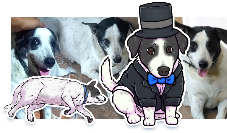 Shichi! Meet Shichi!